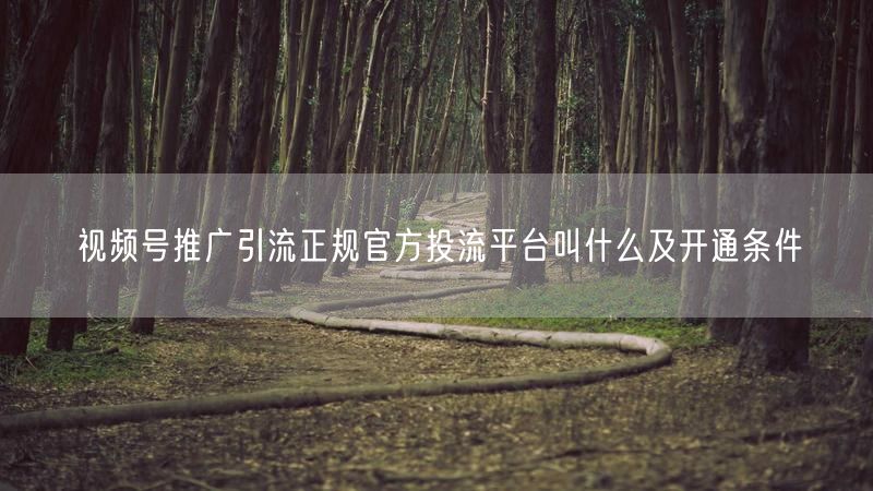 视频号推广引流正规官方投流平台叫什么及开通条件