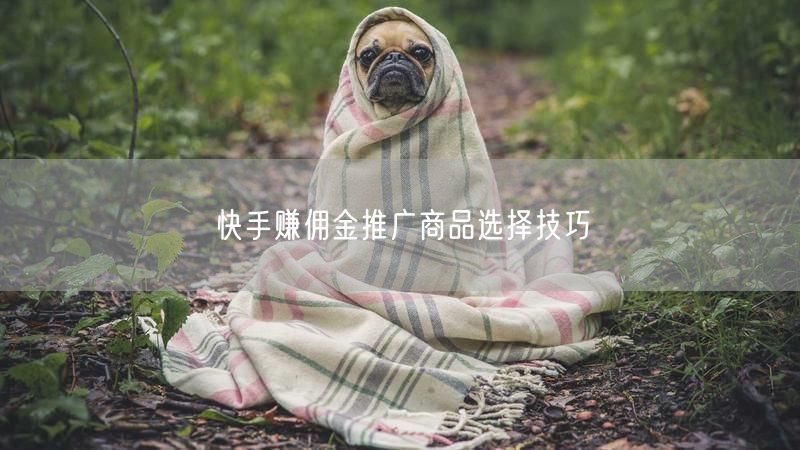 快手赚佣金推广商品选择技巧