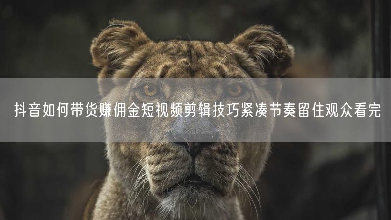 抖音如何带货赚佣金短视频剪辑技巧紧凑节奏留住观众看完