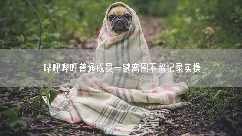 哔哩哔哩普通成员一键离圈不留记录实操