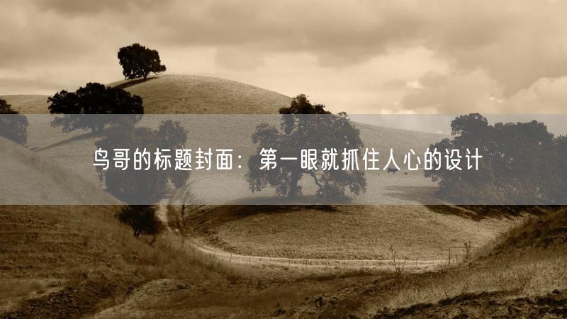 鸟哥的标题封面：第一眼就抓住人心的设计