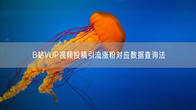 B站VUP视频投稿引流涨粉对应数据查询法