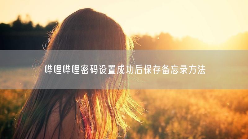 哔哩哔哩密码设置成功后保存备忘录方法