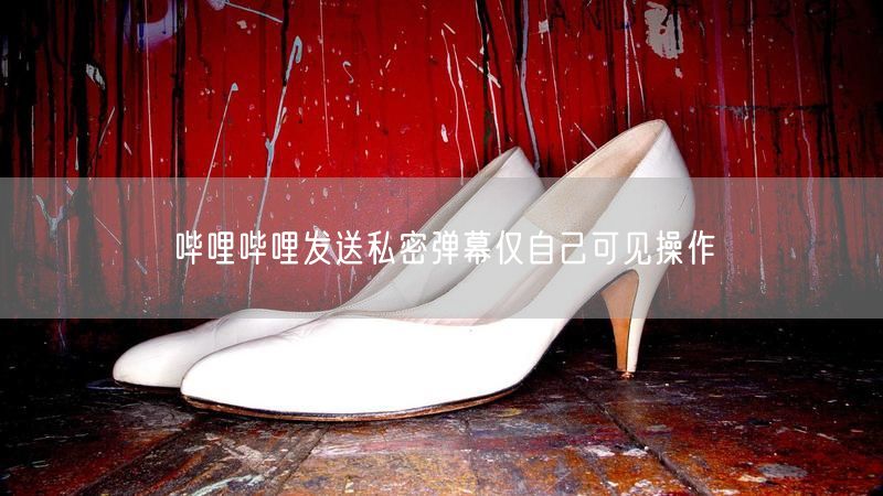 哔哩哔哩发送私密弹幕仅自己可见操作