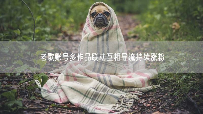 老歌账号多作品联动互相导流持续涨粉