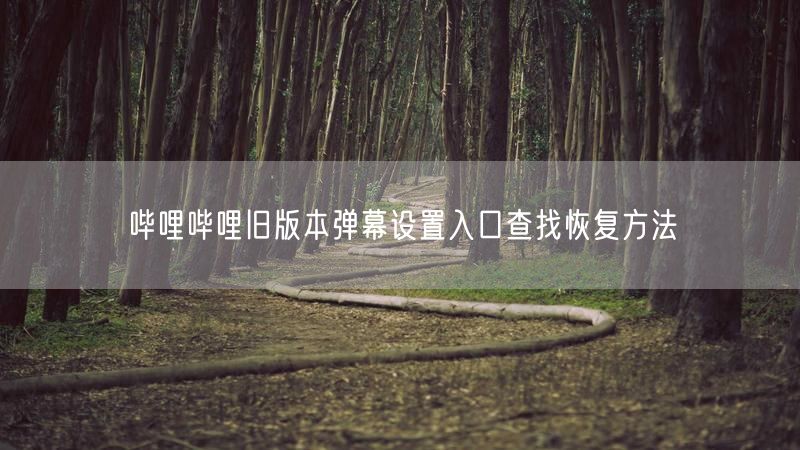 哔哩哔哩旧版本弹幕设置入口查找恢复方法
