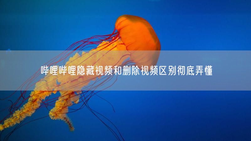 哔哩哔哩隐藏视频和删除视频区别彻底弄懂