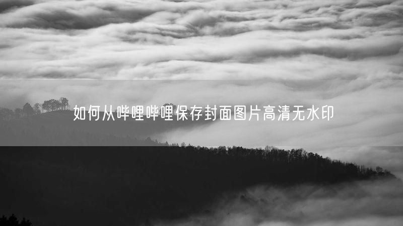 如何从哔哩哔哩保存封面图片高清无水印