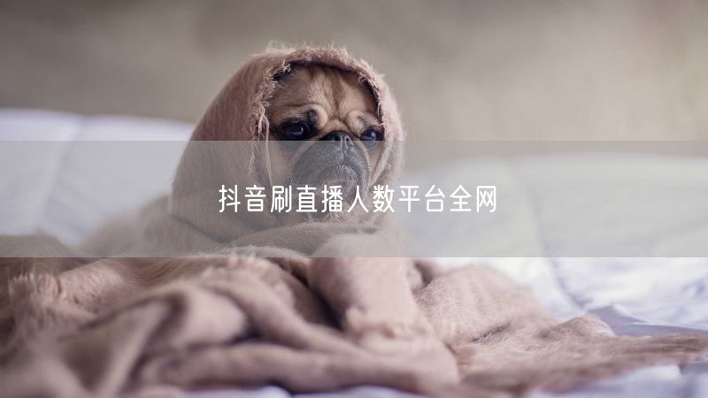 抖音刷直播人数平台全网