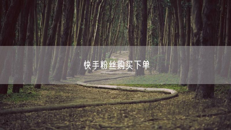 快手粉丝购买下单