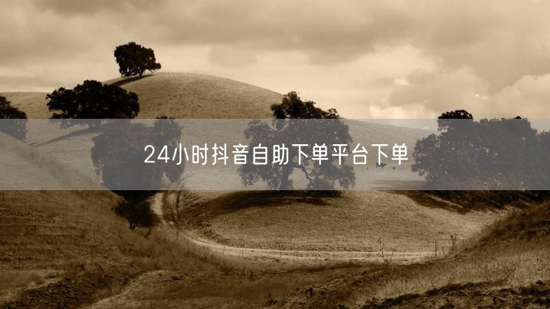 24小时抖音自助下单平台下单