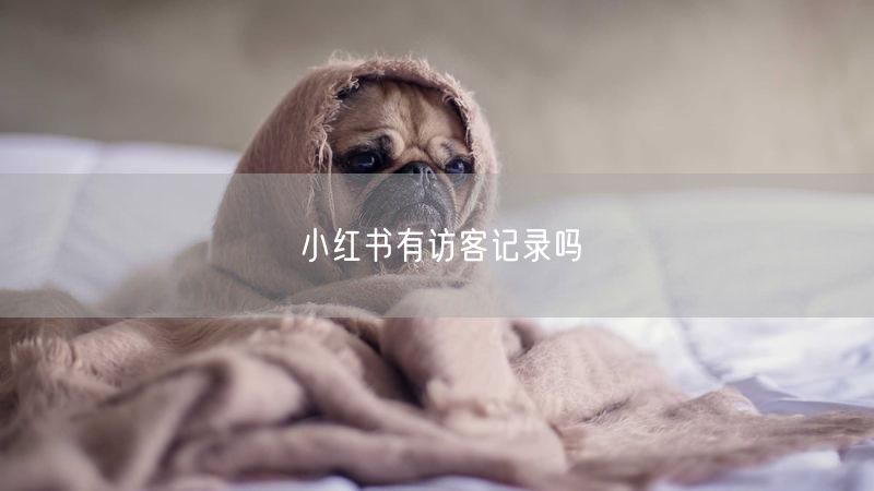 小红书有访客记录吗