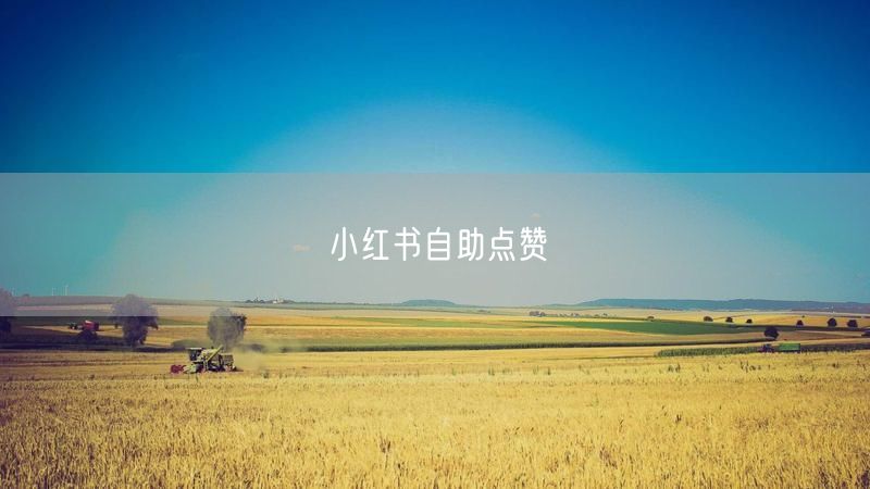 小红书自助点赞