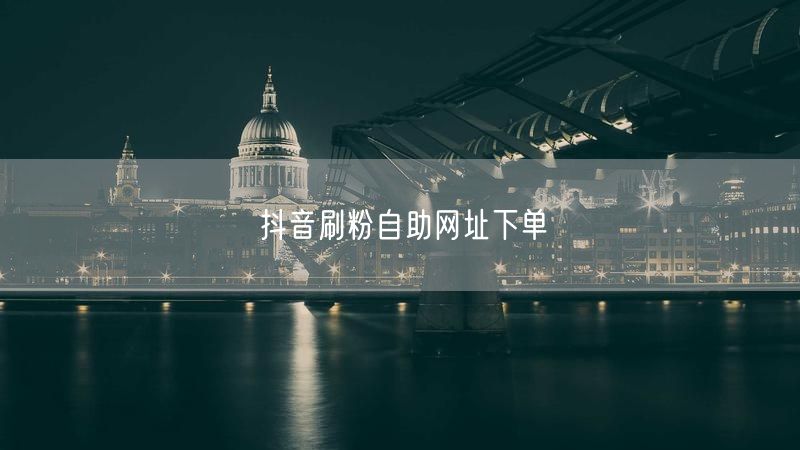 抖音刷粉自助网址下单