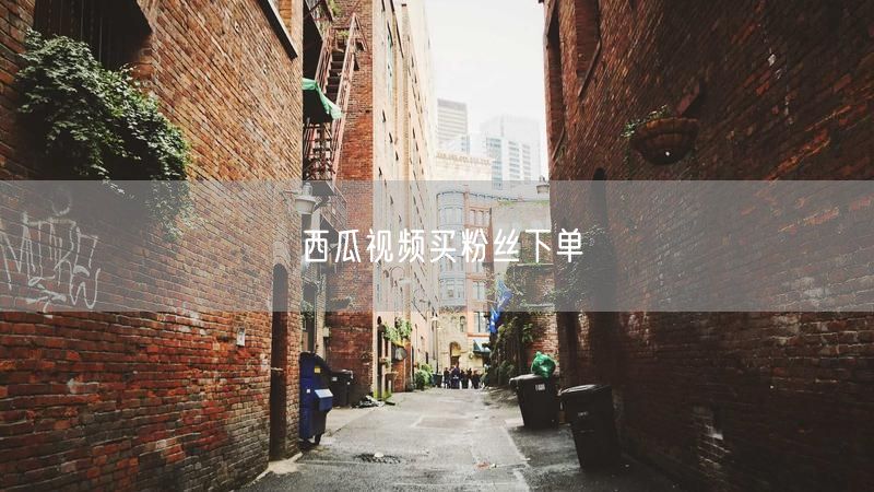 西瓜视频买粉丝下单