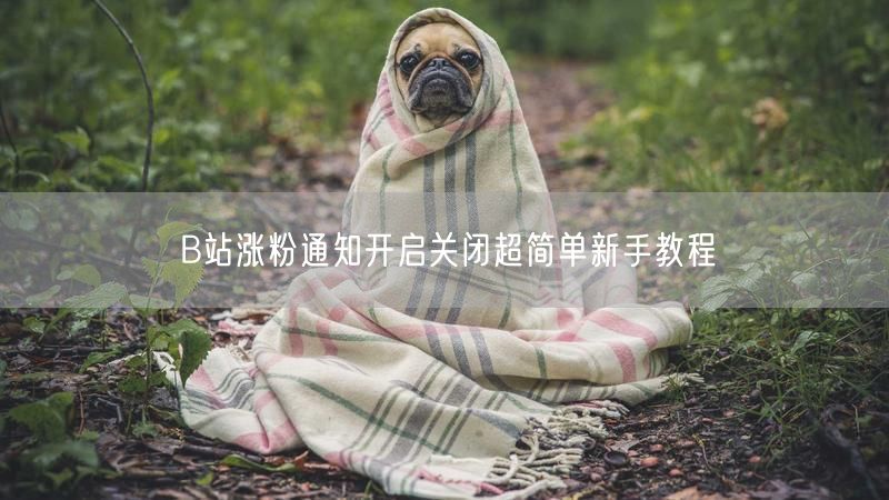 B站涨粉通知开启关闭超简单新手教程
