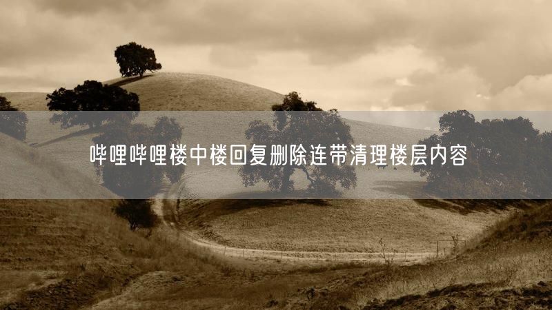哔哩哔哩楼中楼回复删除连带清理楼层内容