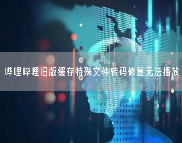 哔哩哔哩旧版缓存特殊文件转码修复无法播放