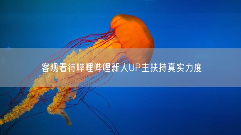 客观看待哔哩哔哩新人UP主扶持真实力度