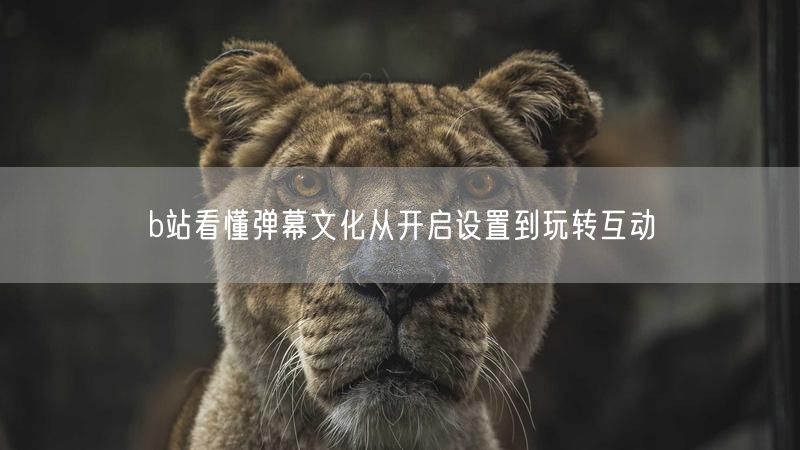 b站看懂弹幕文化从开启设置到玩转互动