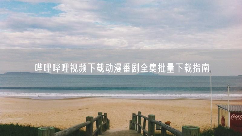 哔哩哔哩视频下载动漫番剧全集批量下载指南