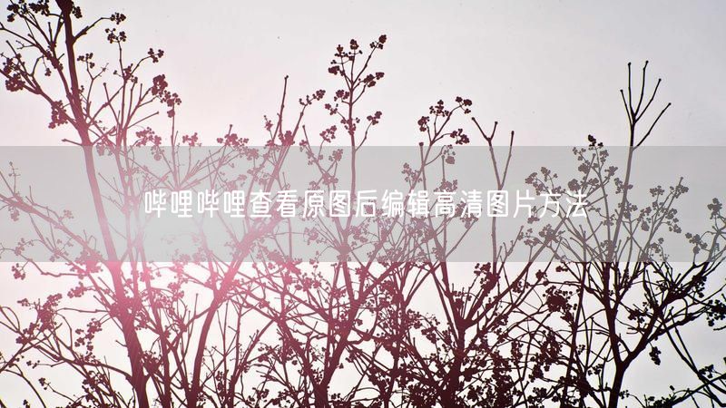哔哩哔哩查看原图后编辑高清图片方法