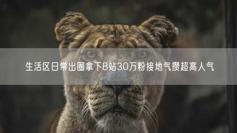 生活区日常出圈拿下B站30万粉接地气攒超高人气