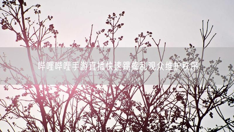 哔哩哔哩手游直播快速踢捣乱观众维护秩序