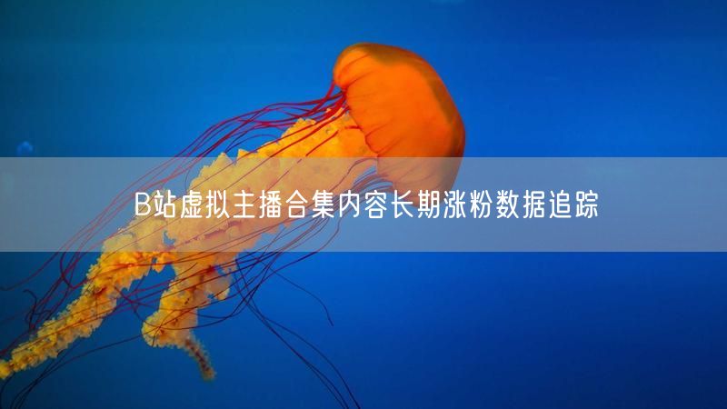 B站虚拟主播合集内容长期涨粉数据追踪